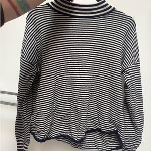 Madewell Black and White Striped Turtleneck Sweater